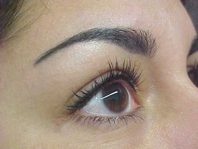 File:Permanent makeup, eyebrow procedure.jpg - Wikipedia