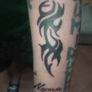 A85269622c25645279a5478541103d70dT