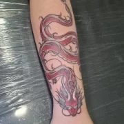 Afd2817f8db2a4ad5957f9be88d78ffcas